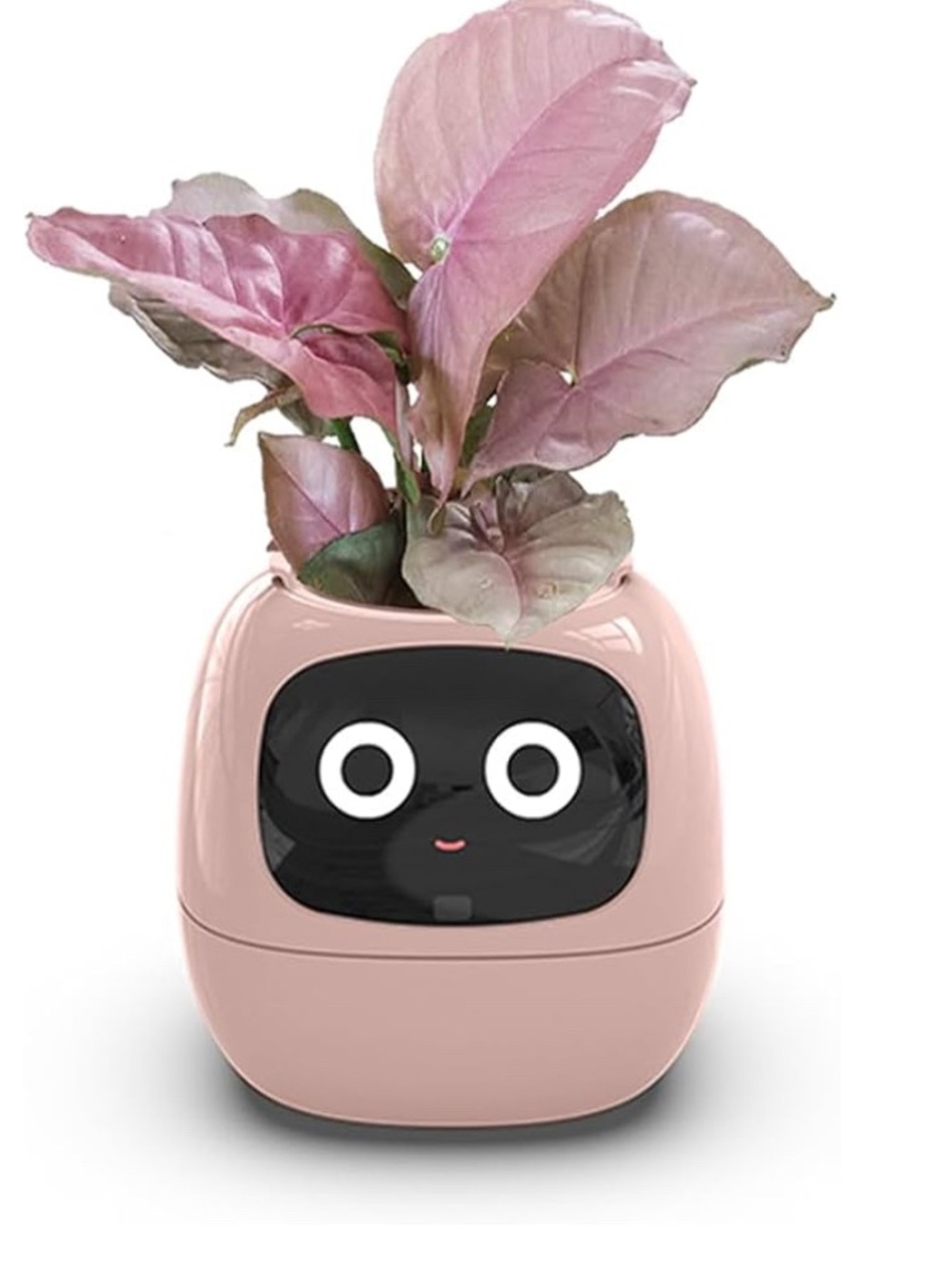 Plantsio Smart Flowerpots,Smart Pet Planter,Ai Planter